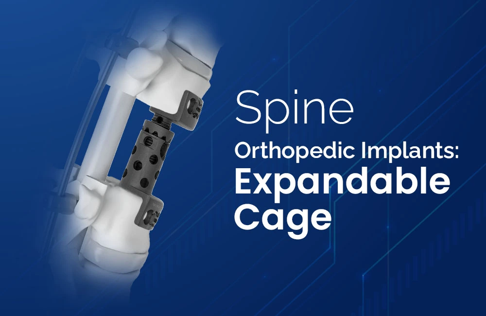 Runija Spine Implant System and Pedicle Screws