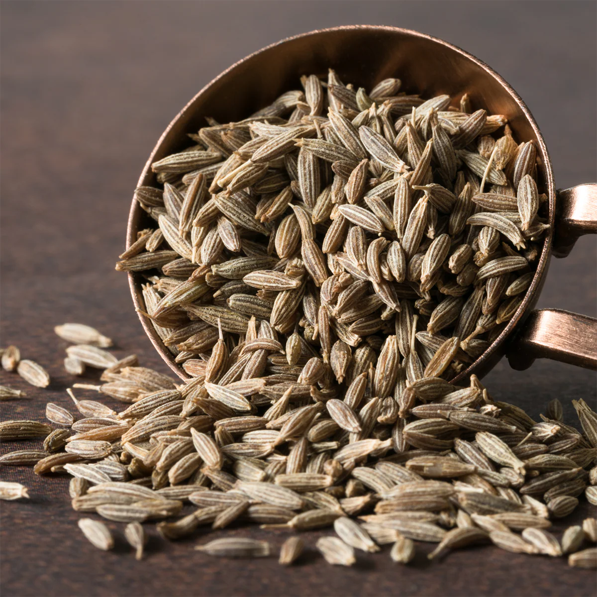 Runija Health Care Cumin extract for gut health and antioxidant support